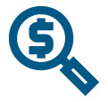 Magnifying Glass Money Icon